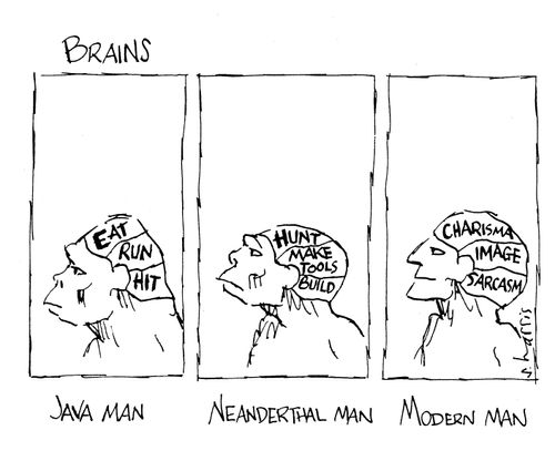 Brains - Java Man/Neanderthal Man/Modern Man.