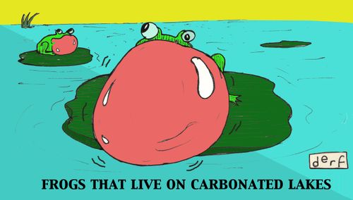 Frogs That Live On Carbonated Lakes.