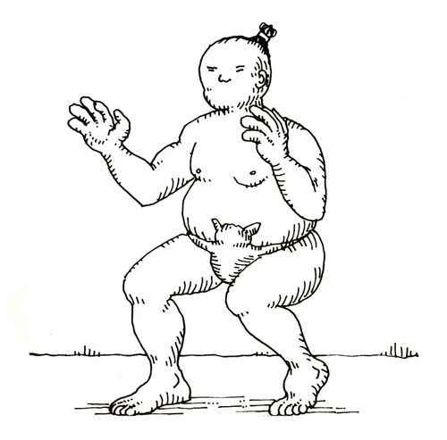 101 uses of a dead cat: sumo diaper.
