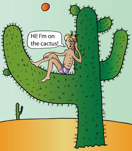 'Hi! I'm on the cactus!'