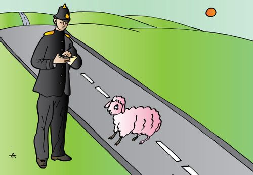 Sheep and policeman