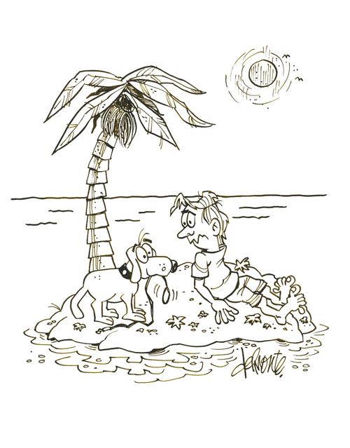 A dog on an island with a man wants to take a walk.