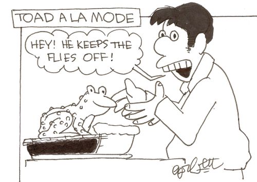 Toad a la mode:   'Hey!  He keeps the flies off!'