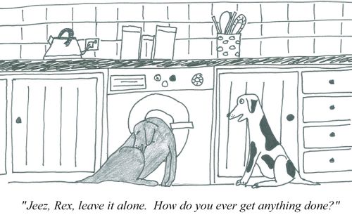 'Jeez, Rex, leave it alone.  How do you ever get anything done?'
