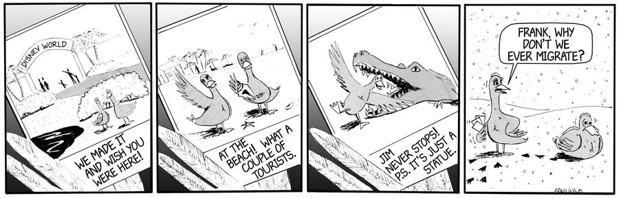 Ducks Migration Patterns