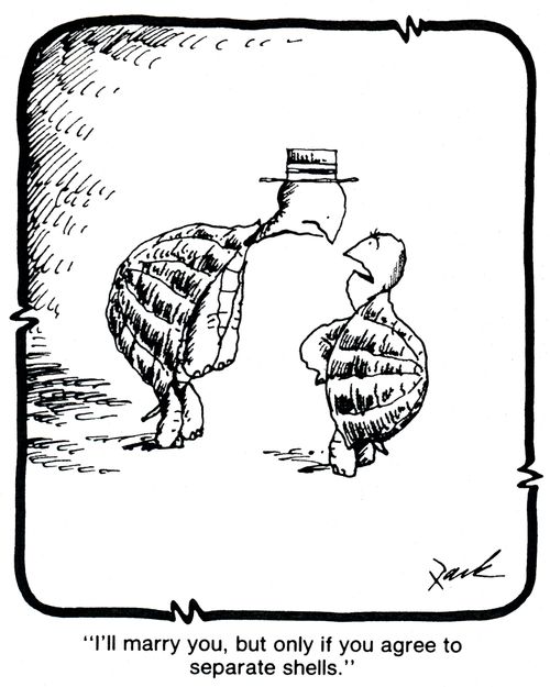 'I'll marry you, but only if you agree to separate shells.'