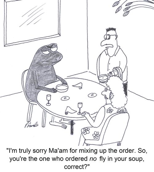 'I'm truly sorry Ma'am for mixing up the order. So, you're the one who ordered no fly in your soup, correct?'
