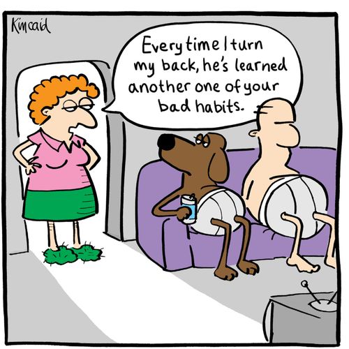 'Every time I turn my back, he's learned another one of your bad habits.'