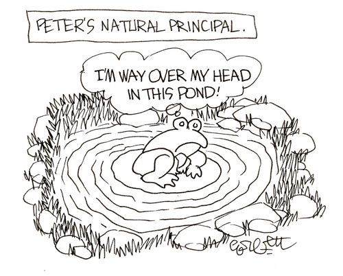 'I'm in way over my head in this pond!'
