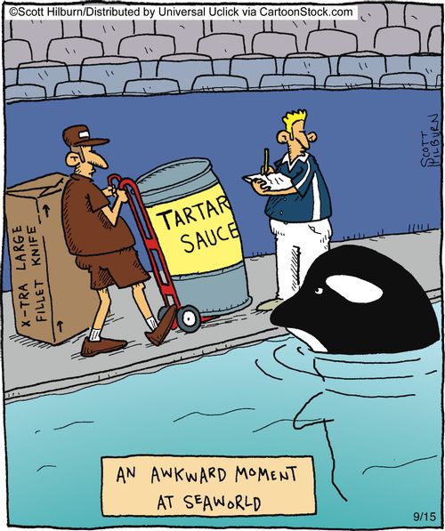 An awkward moment at Seaworld.