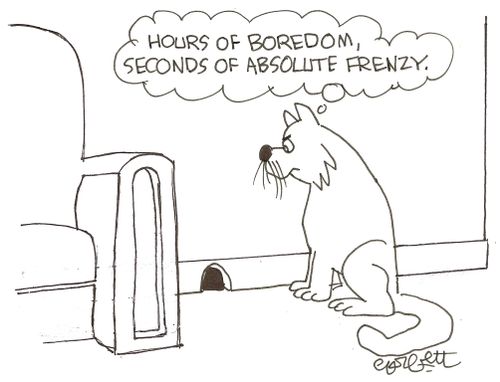 'Hours of boredom, seconds of absolute frenzy.'