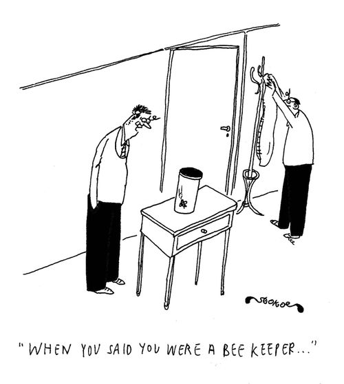 'When you said you were a bee keeper...'