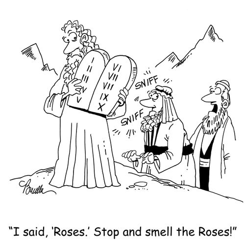 'I said, 'Roses.' Stop and smell the Roses!'