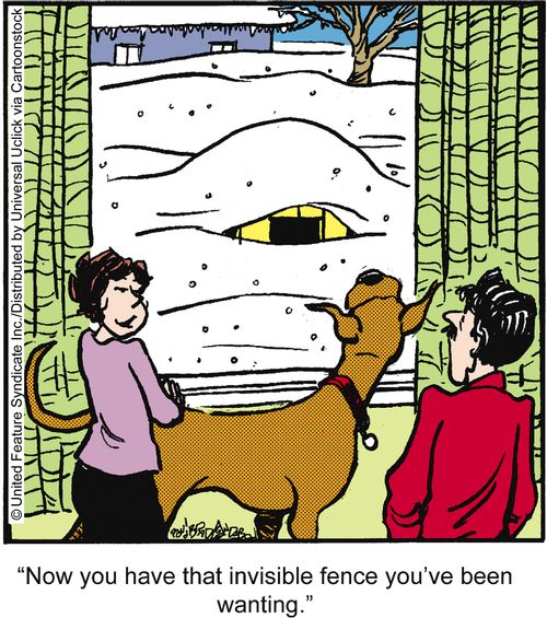 'Now you have that invisible fence you've been wanting.'