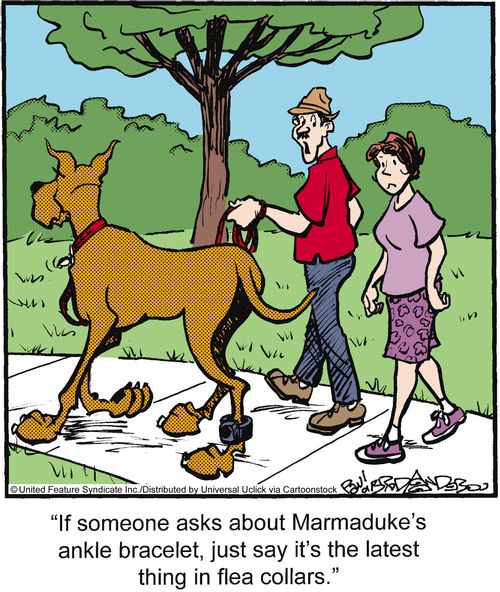 'If someone asks about Marmaduke's ankle bracelet, just say it's the latest thing in flea collars.'