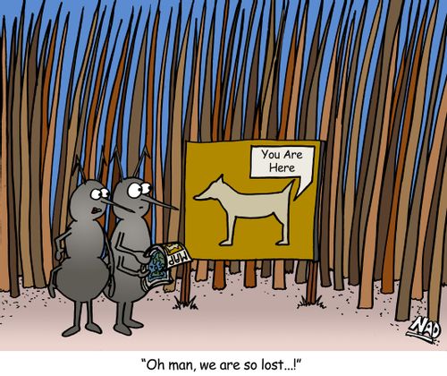 'Oh man, we are so lost...!'