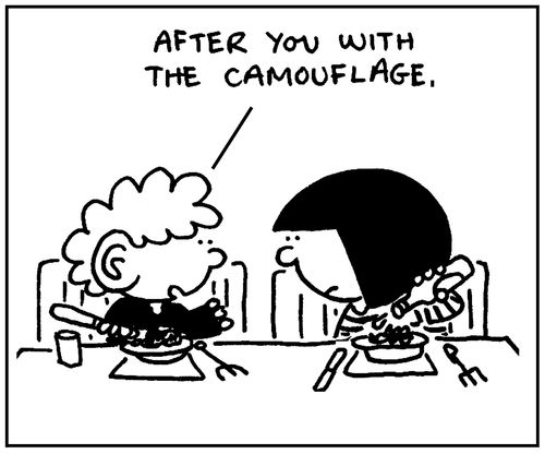 'After you with the camouflage.'