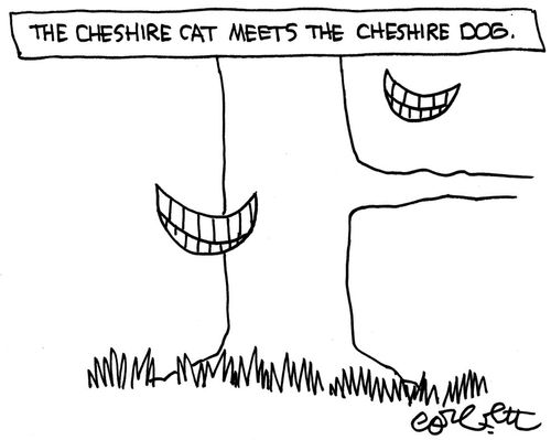 The Cheshire cat meets the Cheshire dog.