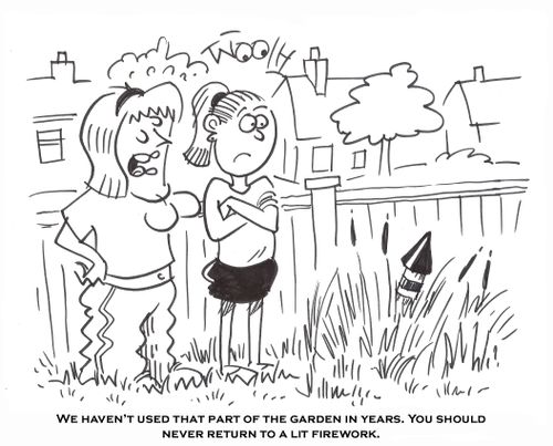 'We haven't used that part of the garden in years. You should never return to a lit firework.'