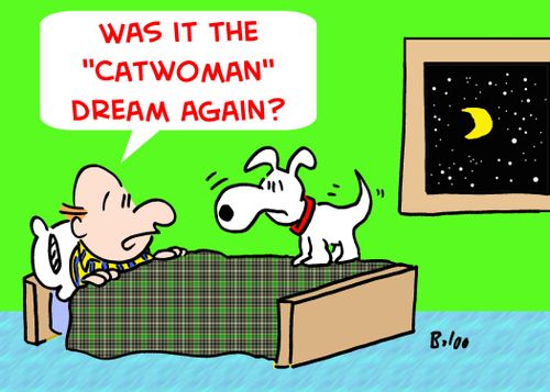 'Was it the 'Catwoman' dream again?'