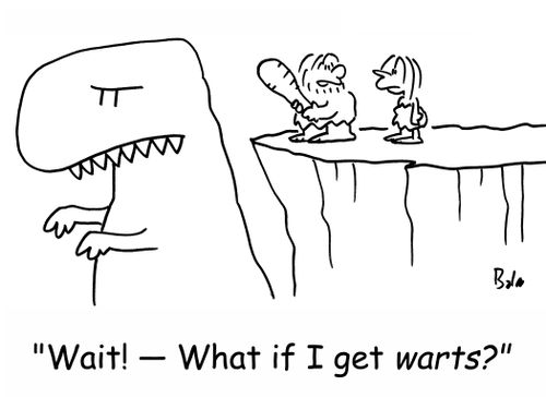 'Wait! -- What if I get WARTS?'