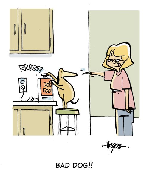 'Bad dog!!'