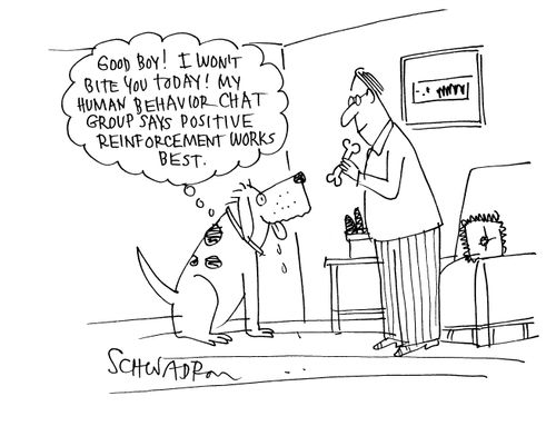 'Good boy! I won't bite you today! My human behavior chat group says positive reinforcement works best.'