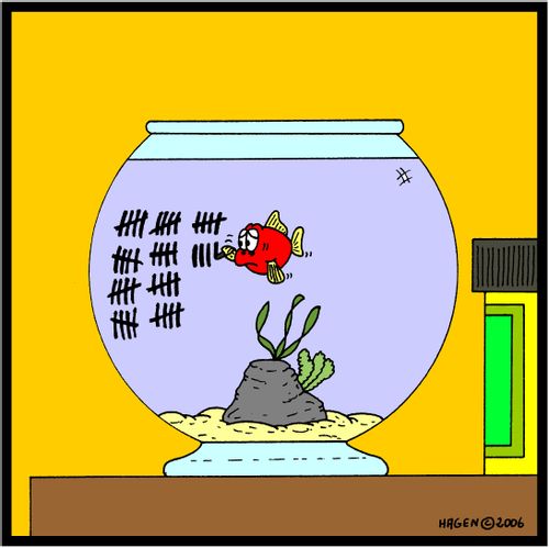 Fish in gaol.