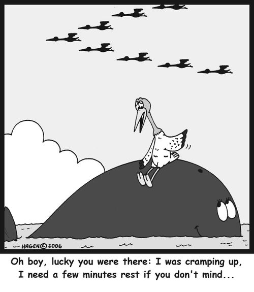 Oh boy, lucky you were there: I was cramping up. I need a few minutes rest if you don't mind...
