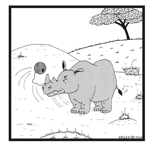 Rhinoceros With Ball Attached to Horn