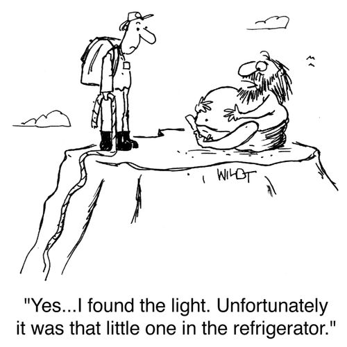 'Yes...I found the light. Unfortunately it was that little one in the refrigerator.'