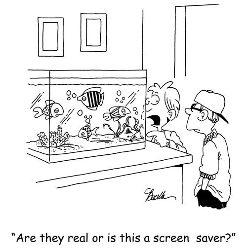 'Are they real or is this a screen saver?'