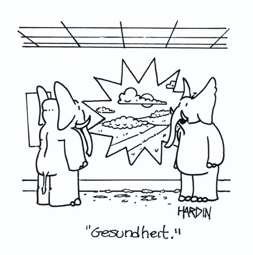 'Gesundheit.'
