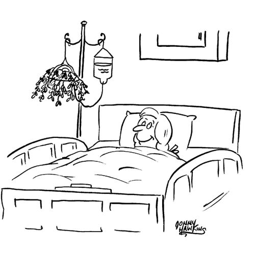 Woman in hospital has i.v. attached to plant.