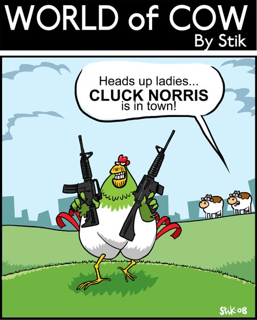 'Heads up ladies, Cluck Norris is in town.'