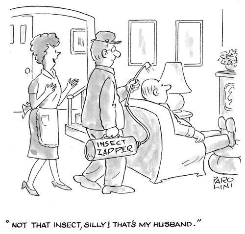 'Not that insect, silly! That's my husband.'
