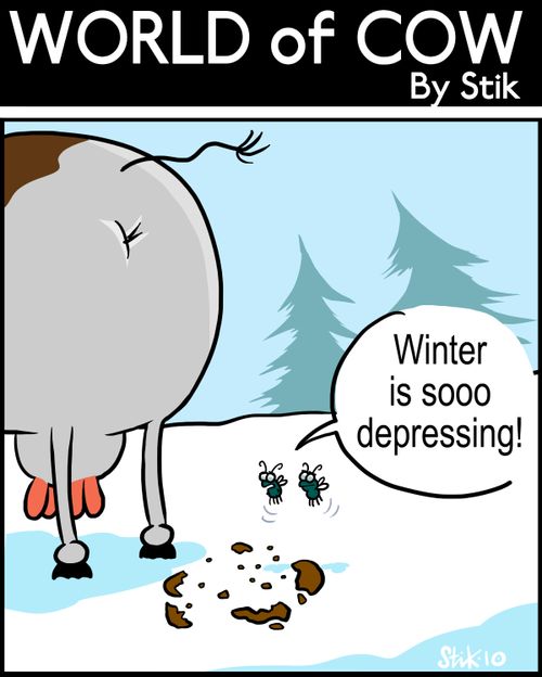 Winter is sooo depressing!
