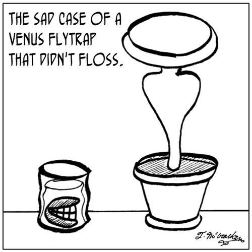 The sad case of a Venus flytrap that didn't floss.