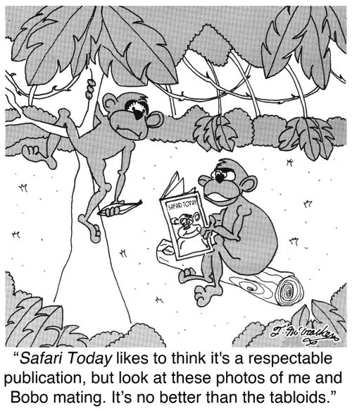 'Safari Today likes to think it's a respectable publication, but look at these photos of me and Bobo mating. It's no better than the tabloids.'