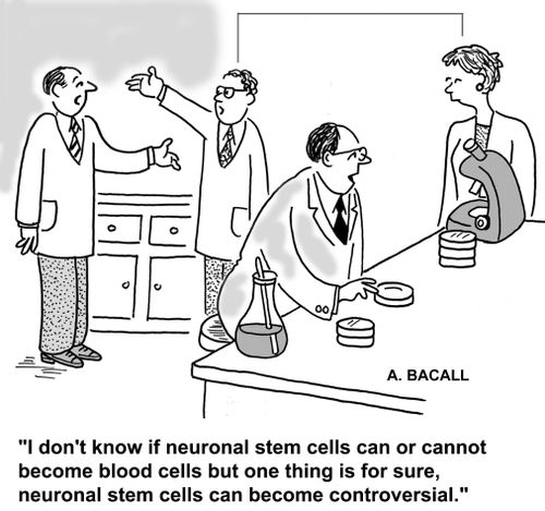 I don't know if neuronal stem cells can or cannot become blood cells but one thing is for sure, neuronal stem cells can become controversial.