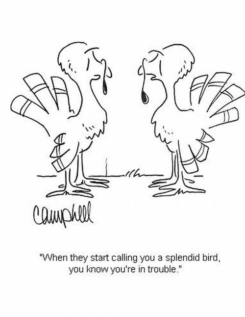 'When they start calling you a splendid bird, you know you're in trouble.'