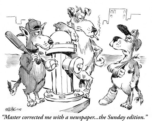 'Master corrected me with a newspaper... the Sunday Edition.'
