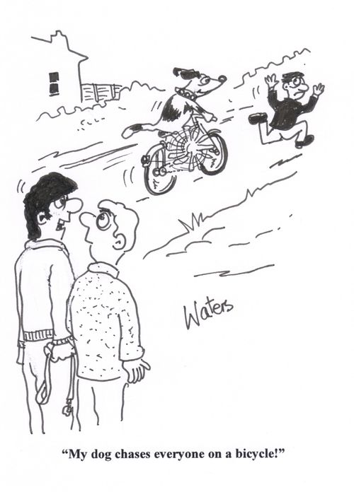 'My dog chases everyone on a bicycle!'