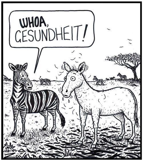 Zebra: 'WHOA, Gesundheit!' 