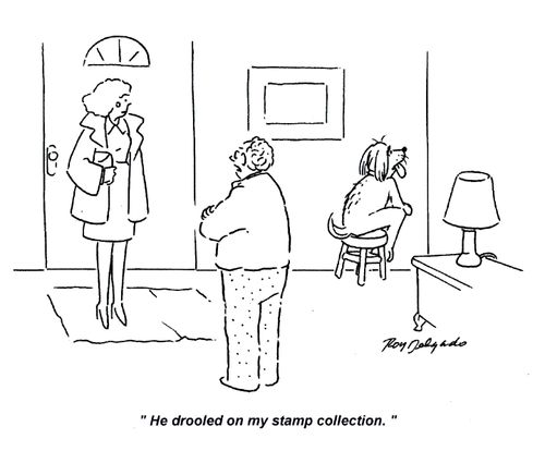 'He drooled on my stamp collection.'