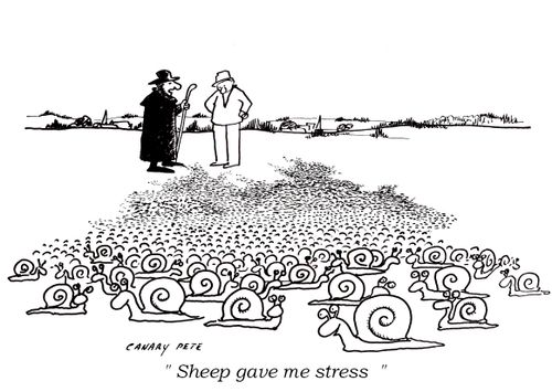 "Sheep gave me stress."