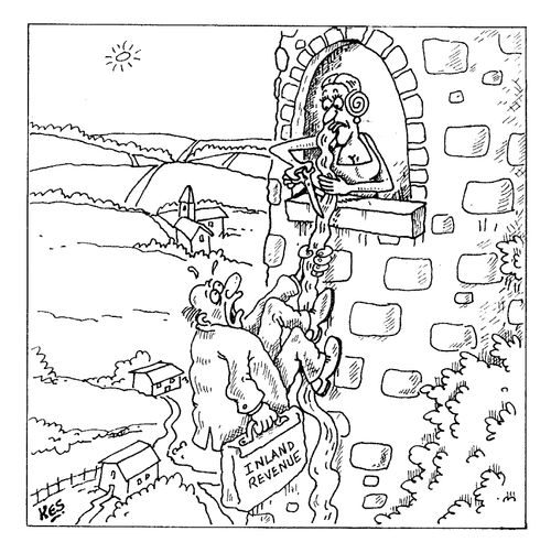 Rapunzel Cuts off her Hair in order to get rid of Inland Revenue