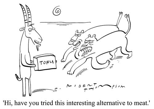 "Hi, have you tried this alternative to meat?"