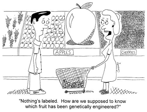"Nothing's labeled. How are we supposed to know which fruit has been genetically engineered?"