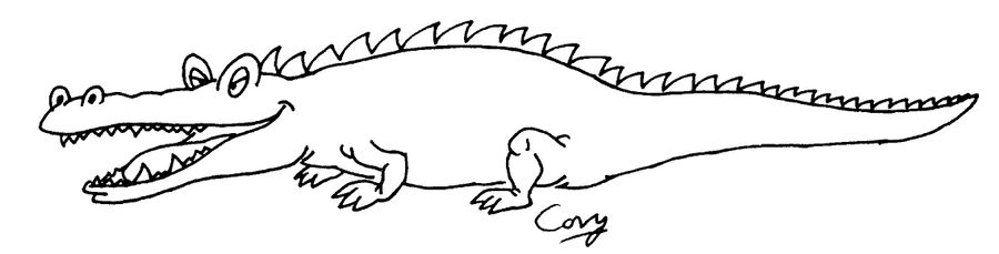 Crocodile/Alligator